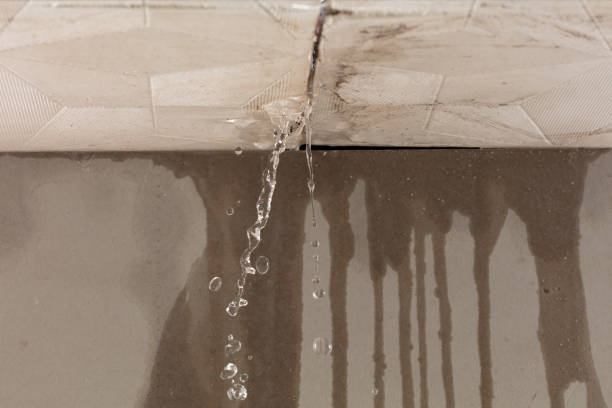 Professional Flood Damage Cleanup technician working in Townsend, TN
